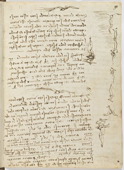 Código sobre el vuelo de los pájaros, c. 1505-06, manuscrito en papel, cc. 18, hoja 9 recto de Leonardo da Vinci